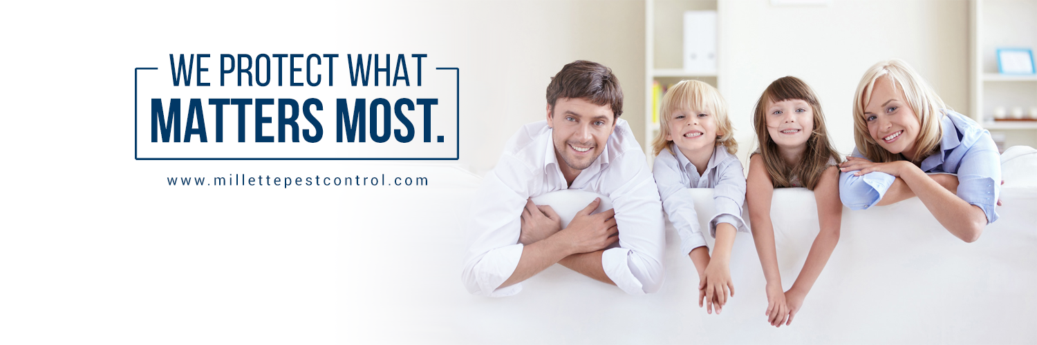 millette banner 1500x500.png