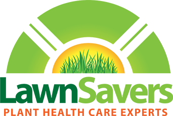 Logo 6