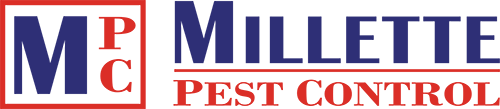 Logo 7