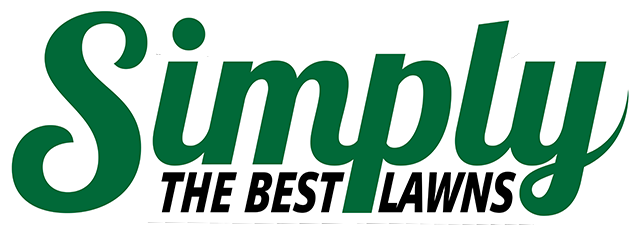 Logo 9