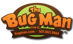 Logo 10