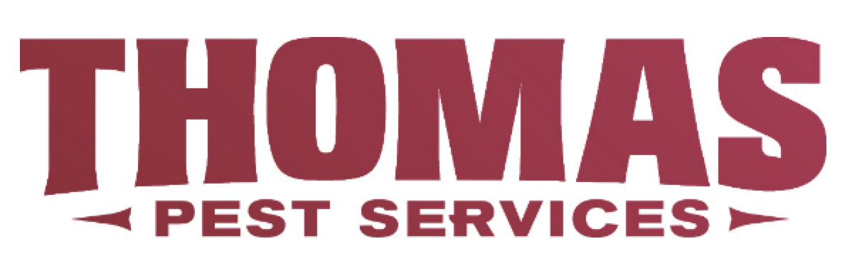 Logo 11